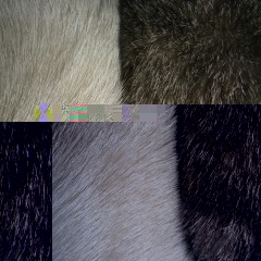 chat-chat.jpg