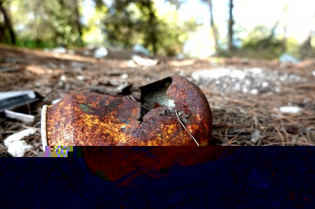 detritus.jpg
