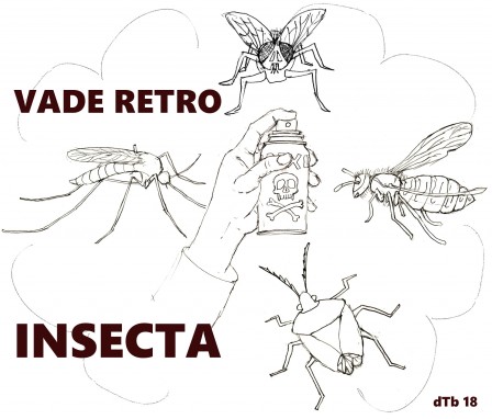 insectes.jpg