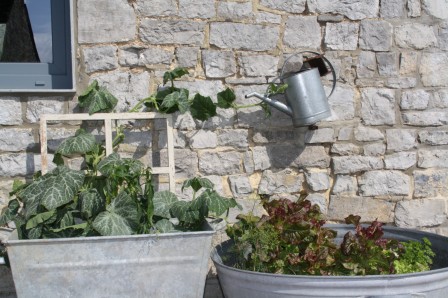 jardin-terrasse.jpg
