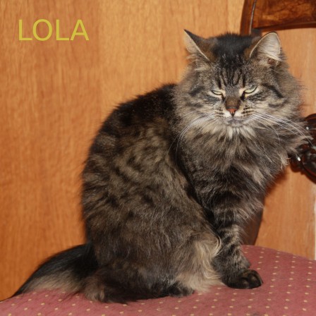 lola.jpg