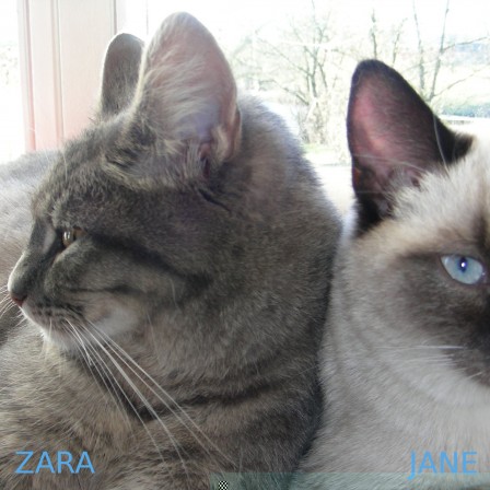 zara-jane.jpg